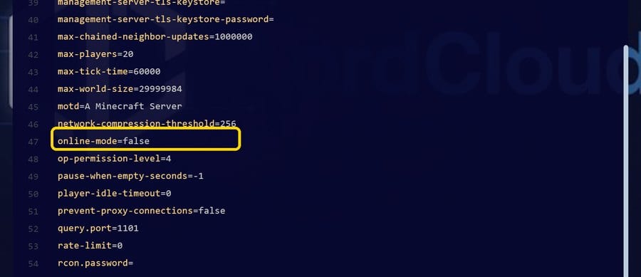 online-mode=false in server.properties